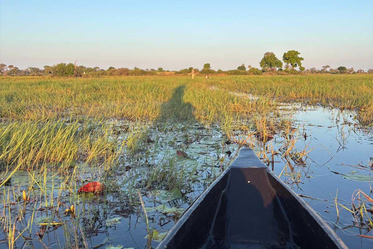 <a href= 'https://www.reves-afrique.ch/safari-botswana' target='_blank' class='white'>Botswana</a>, septembre 2025